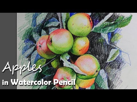 Mountains and Pine Tress Watercolor Pencil Landscape Drawing | steps to follow