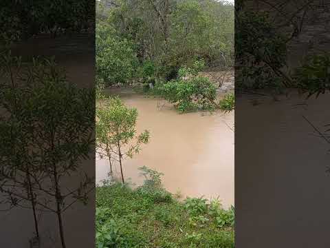Angelina -SC enchente #enchente #santacatarina#natureza #turismo #shorts @CanaldoReniFrancisco