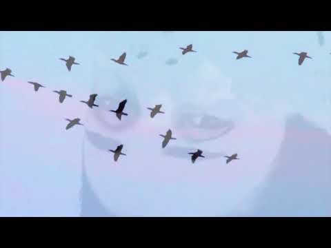 Amour Naufrage / MADMOIZEL