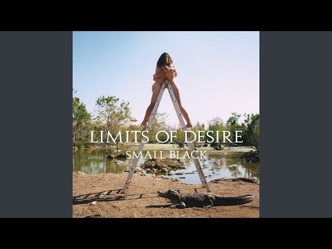 Limits of Desire