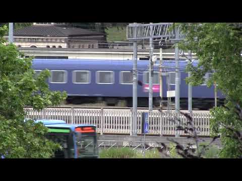 E656 030 con Autoslaap, E464+4 piano ribassato - Monza 14/06/2014