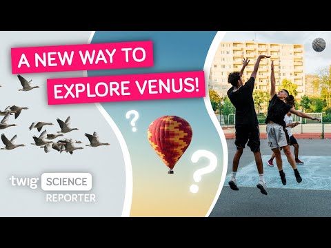 Twig Science: NASA Scientists Discover How to Orbit Venus