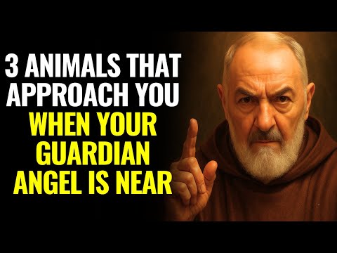 PADRE PIO REVEALS: 3 ANIMALS THAT APPROACH YOU WHEN YOUR GUARDIAN ANGEL IS NEAR