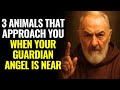 PADRE PIO REVEALS 3 ANIMALS THAT APPROACH YOU WHEN YOUR GUARDIAN ANGEL IS NEAR