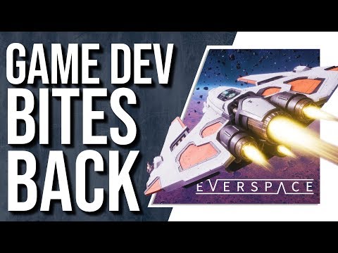 ​ Everspace Dev calls Streamer “F***ing Moron” Video