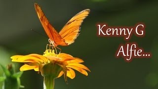 Kenny G &amp; Burt Bacarach - Alfie