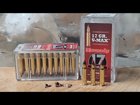 22LR has LEFT THE CHAT! 17hmr V-Max by Hornady. Is this the BEST RIMFIRE cartridge?