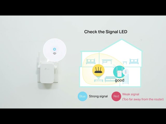 فيديو مقوي شبكة