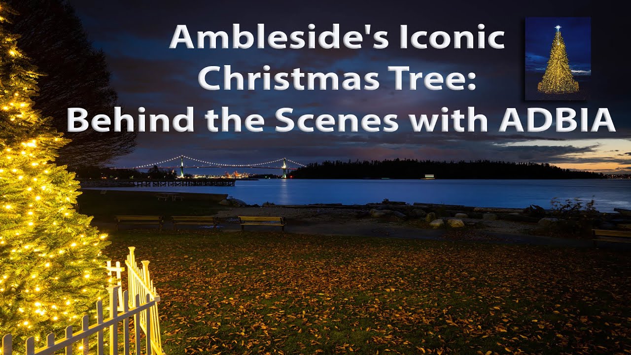 Ambleside's Iconic Christmas Tree: Behind the Scenes with ADBIA