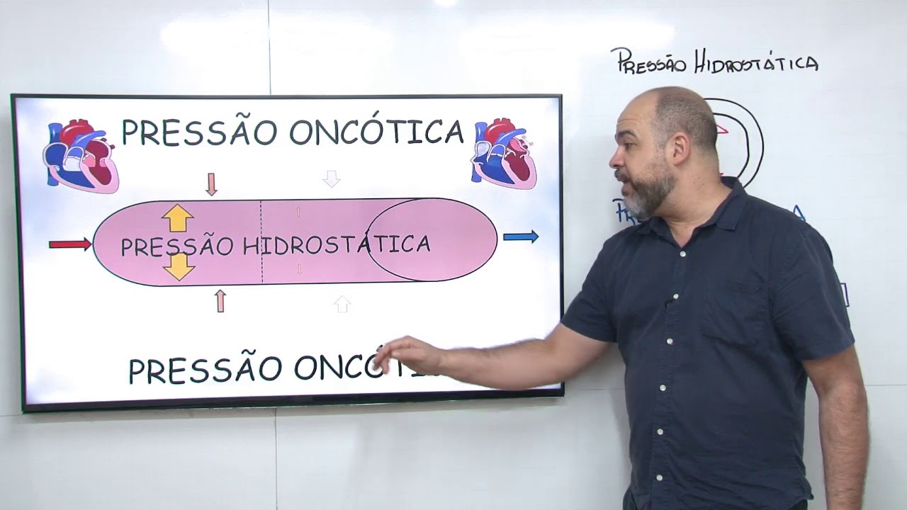 Sistema Circulatório