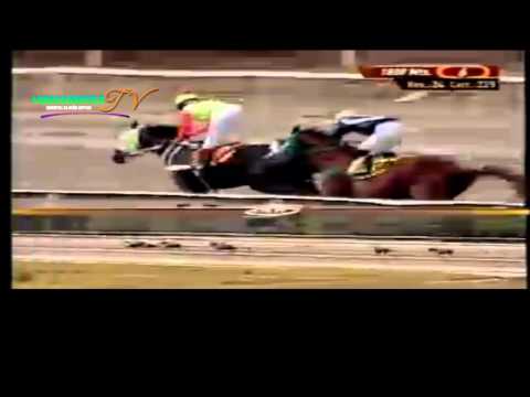 LA RINCONADA 6 CARRERA DOMINGO 30 DE MARZO DEL 2014