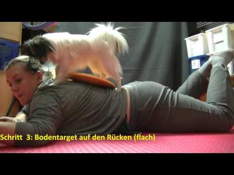 2015 11 02 Tutorial Rückensprung Trick 44 Bjelle