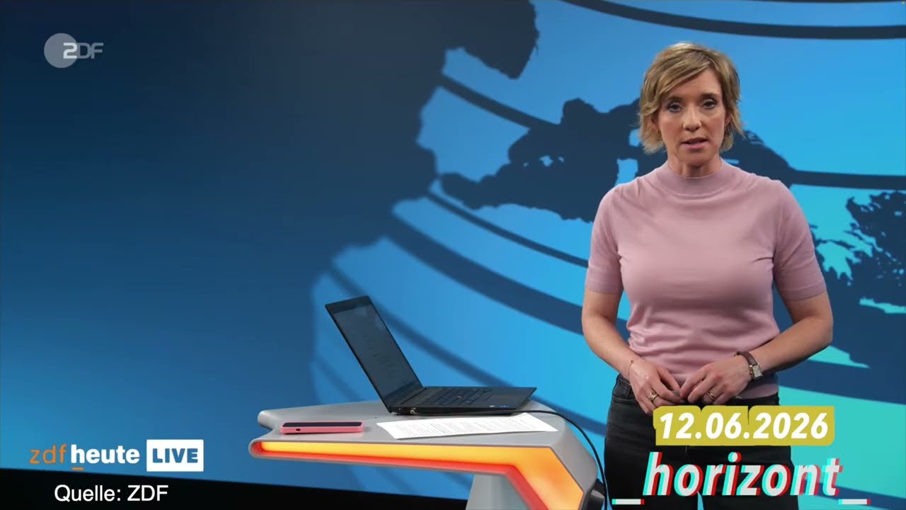 Das ZDF verbreitet groteske Desinformation über Elon Musk