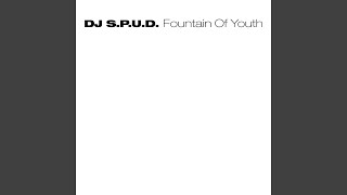 Fountain Of Youth (Original Mix)