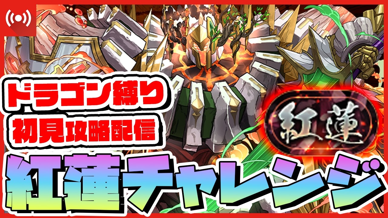 【パズドラ】新ギミック『灼熱』って何!?紅蓮チャレンジをドラゴン縛り初見で攻略していく配信 #shorts #パズドラ #ドラゴン縛り
