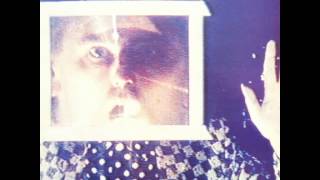 Robyn Hitchcock - The Rain