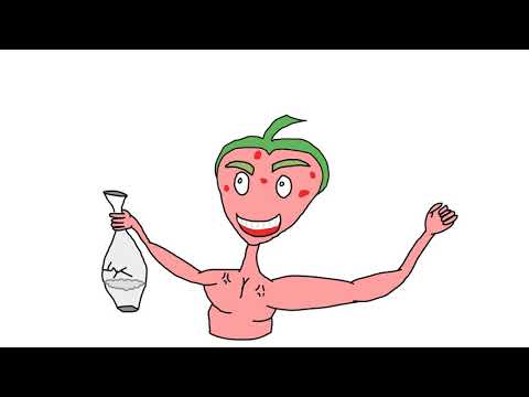 silna truskawka - OpenToonz 1.3