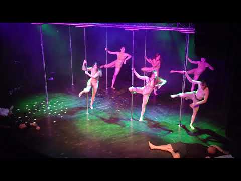 The Zombie Team submission for Pole theatre Hungary 2019 in Semi Pro Drama category