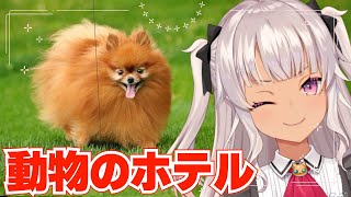 ┊Pets Hotel┊ペットお預かりしますよ!!安いよ!【魔使マオ/にじさんじ】