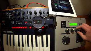 Korg monologue & Elektron SidStation in Acid - demo from Warstat #46 :o)=