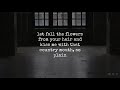 Empty | Ray LaMontagne | Lyrics ☾☀