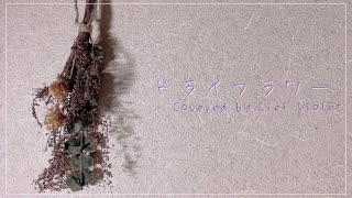 - ドライフラワー / Covered by Ciel Violet