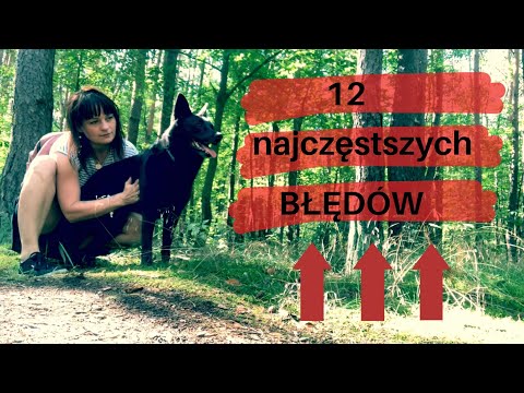 Nie popełnij tych błędów wychowując swojego psa! Trener opowiada #29