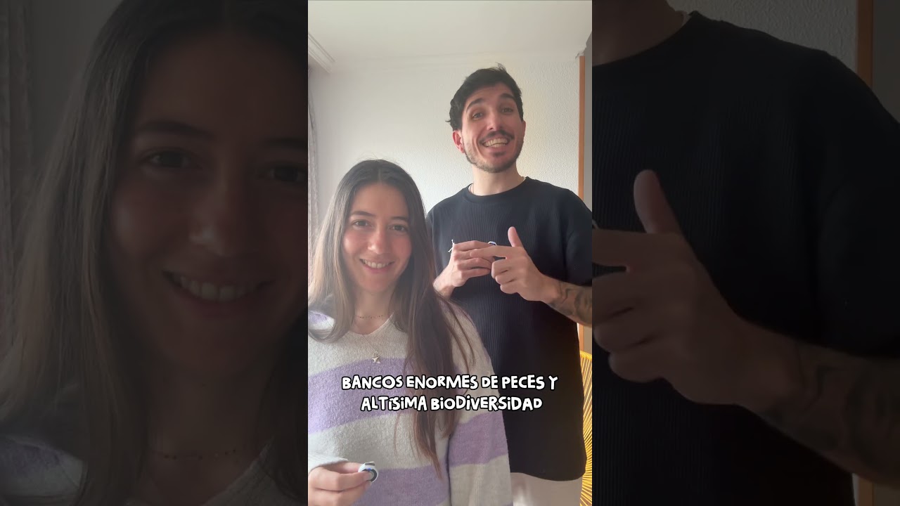 Ver video de la experiencia