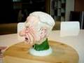 Kaj Pindal Bust