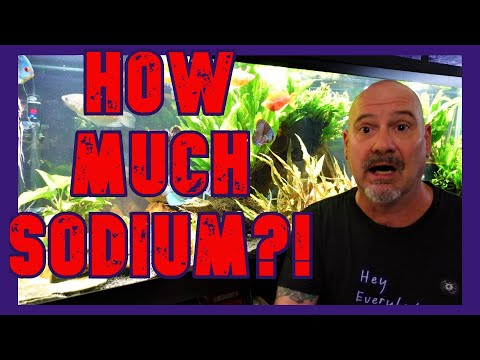 YouTube video about: Will water softener kill fish?