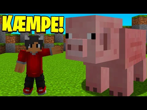 Alle Mobs Er Kæmpe I Minecraft!