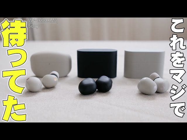 セゴリータ三世 / Segorita the 3rd