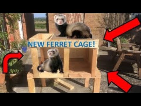 , title : 'How I Build a FERRET cage (part 1)'