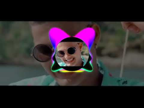 Bonde do vei: botadão