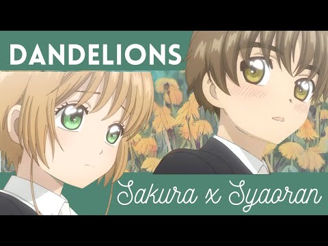 Dandelions | Sakura x Syaoran AMV