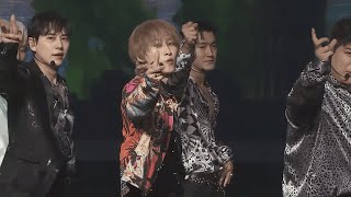 Download lagu SUPER JUNIOR - MANGO @ SS9 mp3