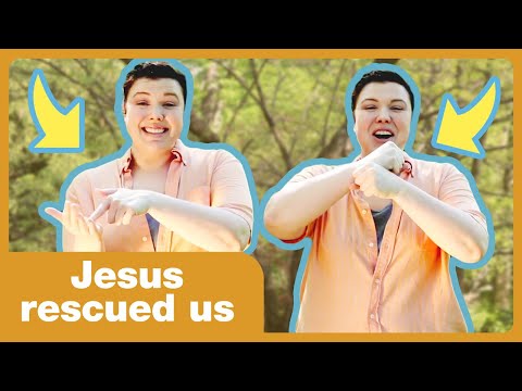 Witness21  2020 05 29