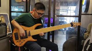 Video thumbnail for [BASS DEMO] MTD Kingston Z6 + Bartolini SINGULARITY pickups by teplachica