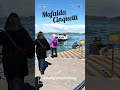 My Venice Venice Italy Italian Book Cozy Mystery