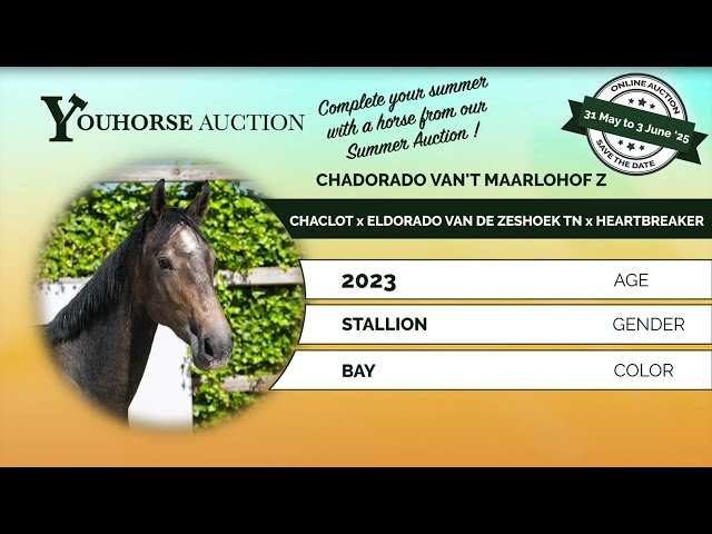 Chadorado van 't Maarlohof