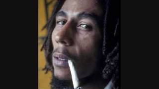 Bob Marley Babylon System