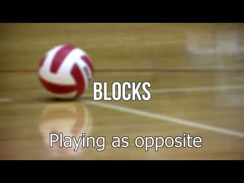 Nikola Sreckovic Volleyball Highlights