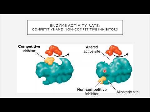 BIO 205 - Chapter 8 - Microbial Metabolism