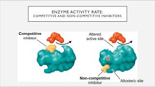 BIO 205 - Chapter 8 - Microbial Metabolism