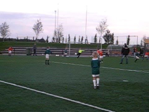 CSV f1 - sv t harde f1