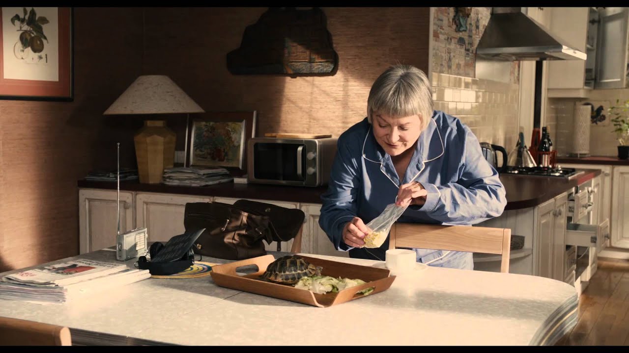 Miniature de la vidéo DEMI-SOEUR - Bande annonce (5 juin 2013) du film Demi-sœur