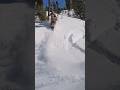 Trimming Trees Skidoo Gen5 Turbo Thatskidoofeeling