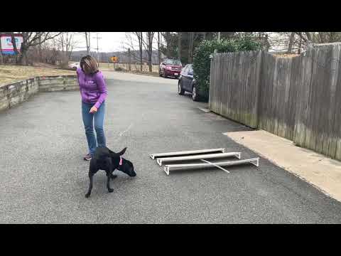 Zayna Broad Jump Training Session