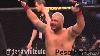 Los 8 Mejores KO de UFC (Peso Pesado)