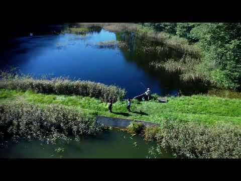 Купить участок, д. Ежона (Барановичский р-н, Брестская область)